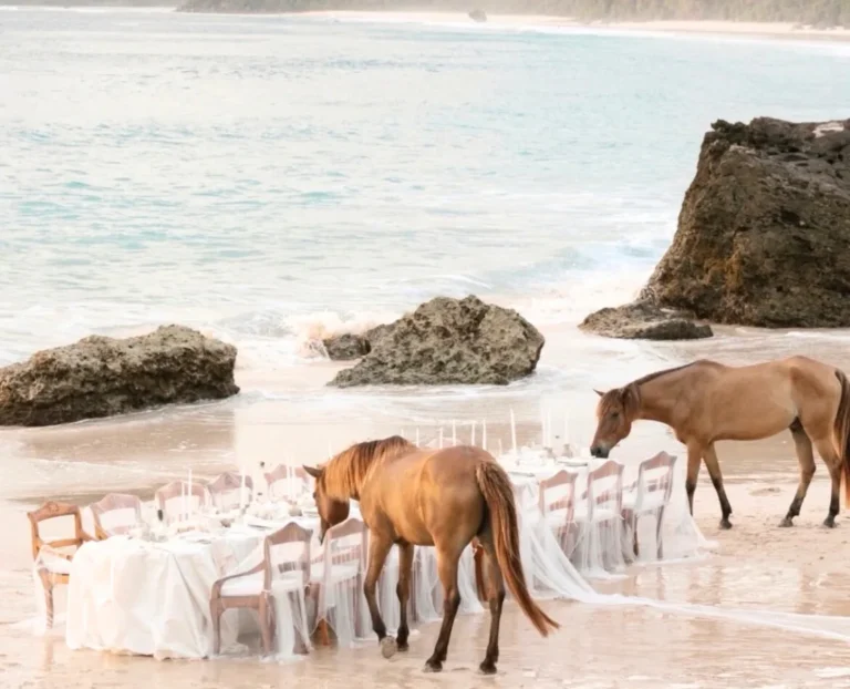 Luxury beach dinner setup with horses walking along the shoreline, romantic seaside dining experience in tropical destination.