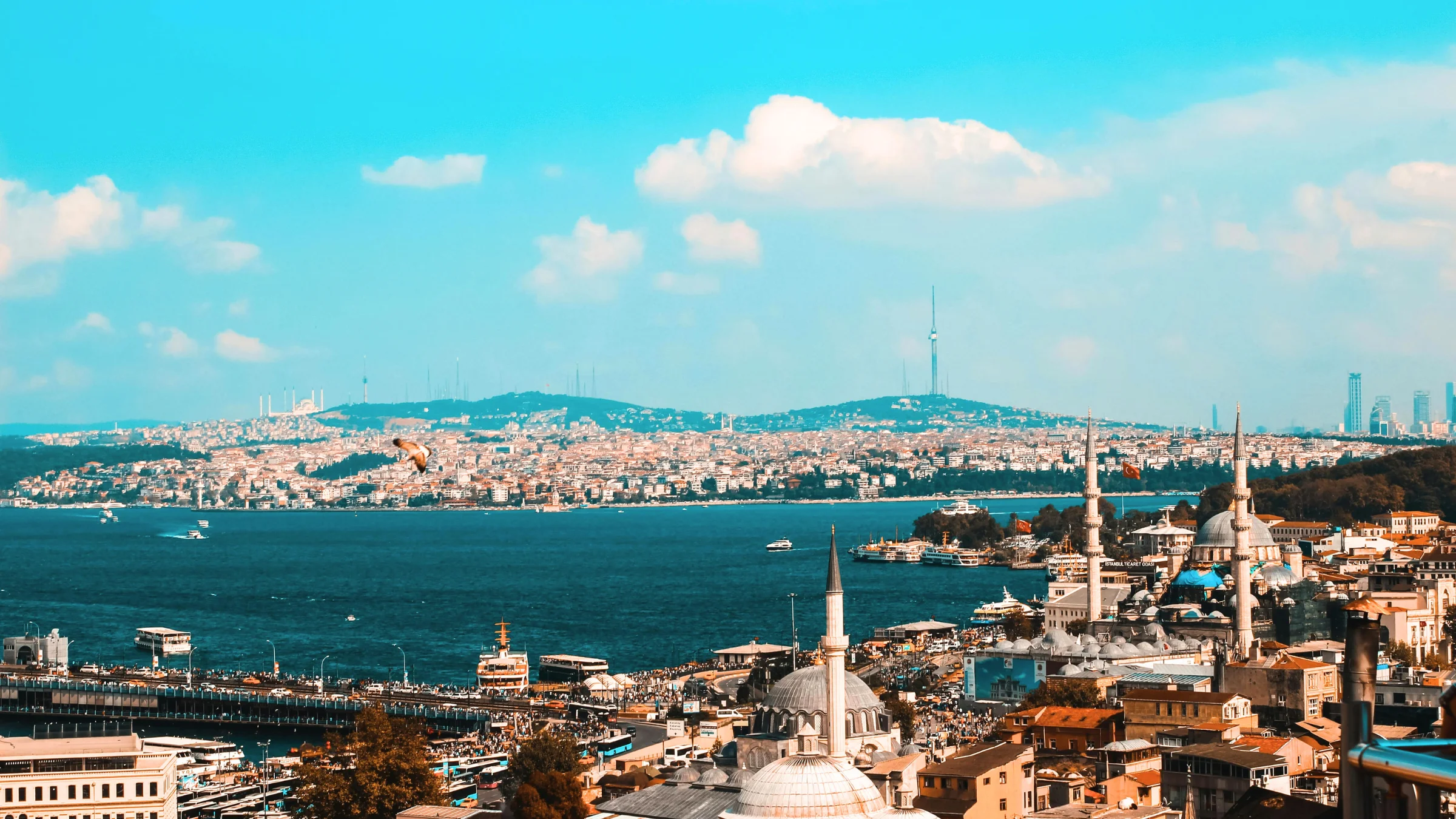 Bosphorus Bridge illuminated at night with Istanbul skyline