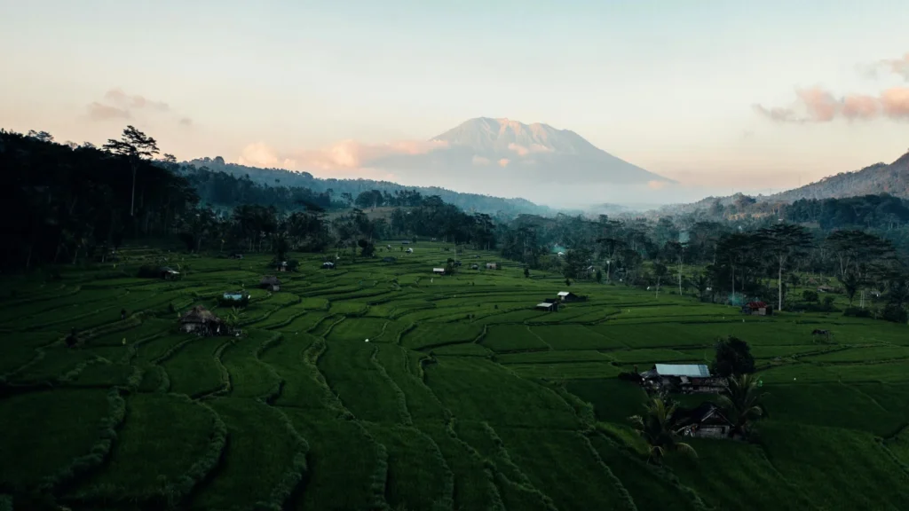 Tegallalang rice terraces in Ubud Bali with layered green rice fields and tropical palm trees