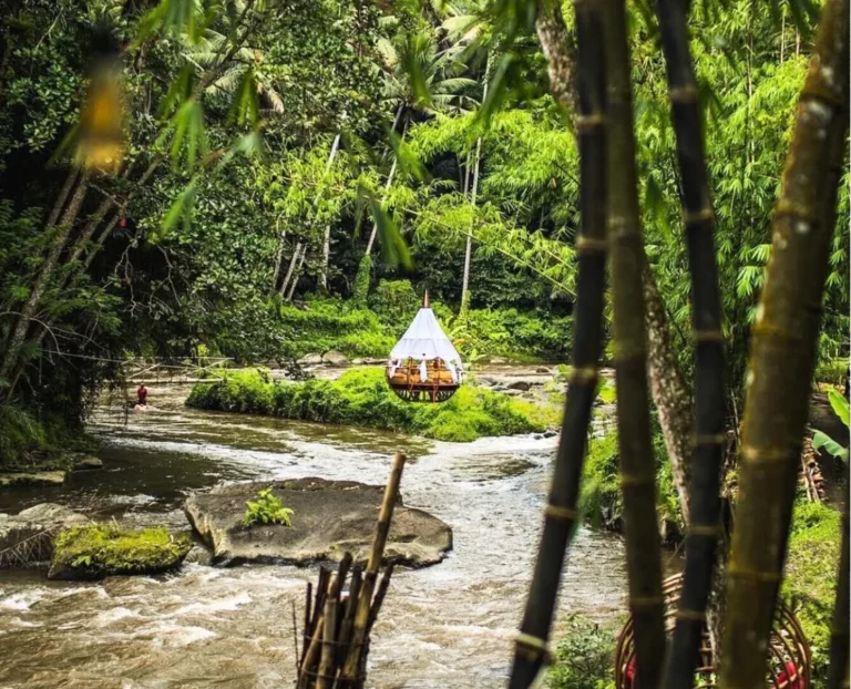 Luxury jungle dining experience by the river in Bali surrounded by bamboo and tropical forest, immersive nature travel destination.